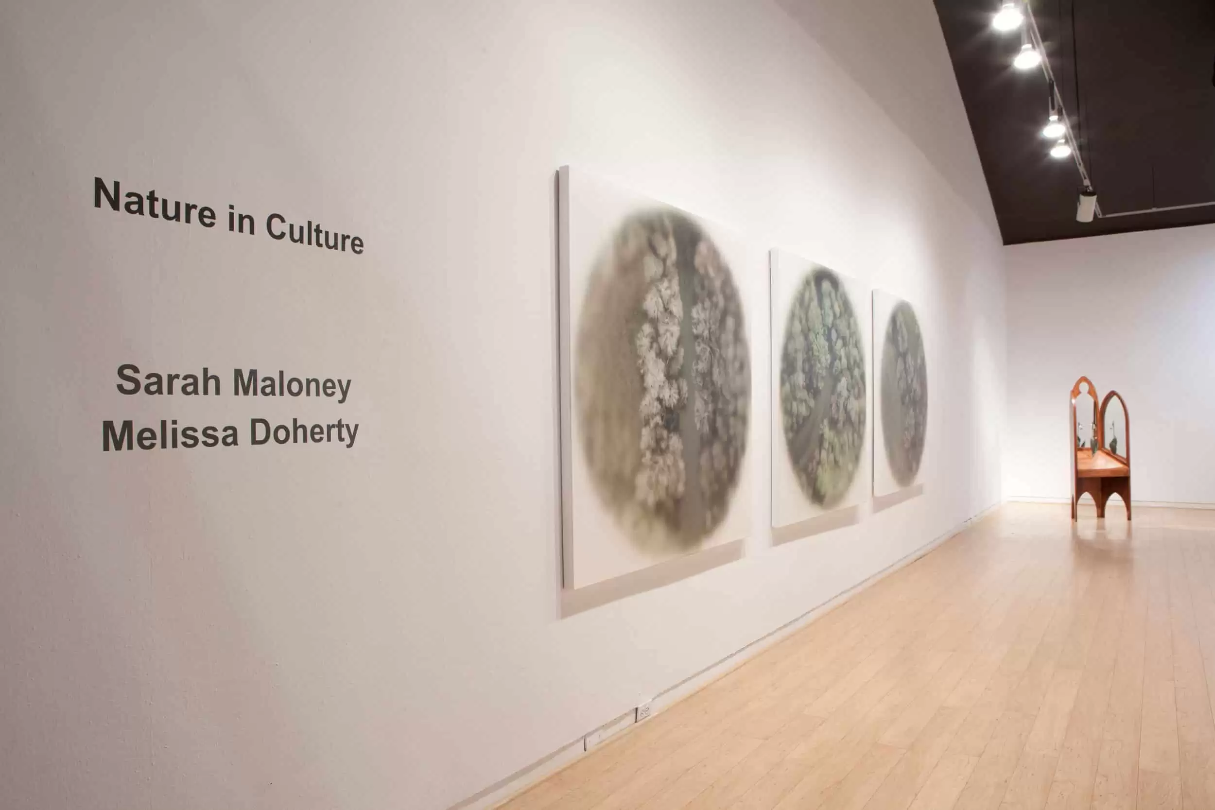 Gallery view of the exhibition Nature in Culture. Various artworks installed in the AGP's main gallery.