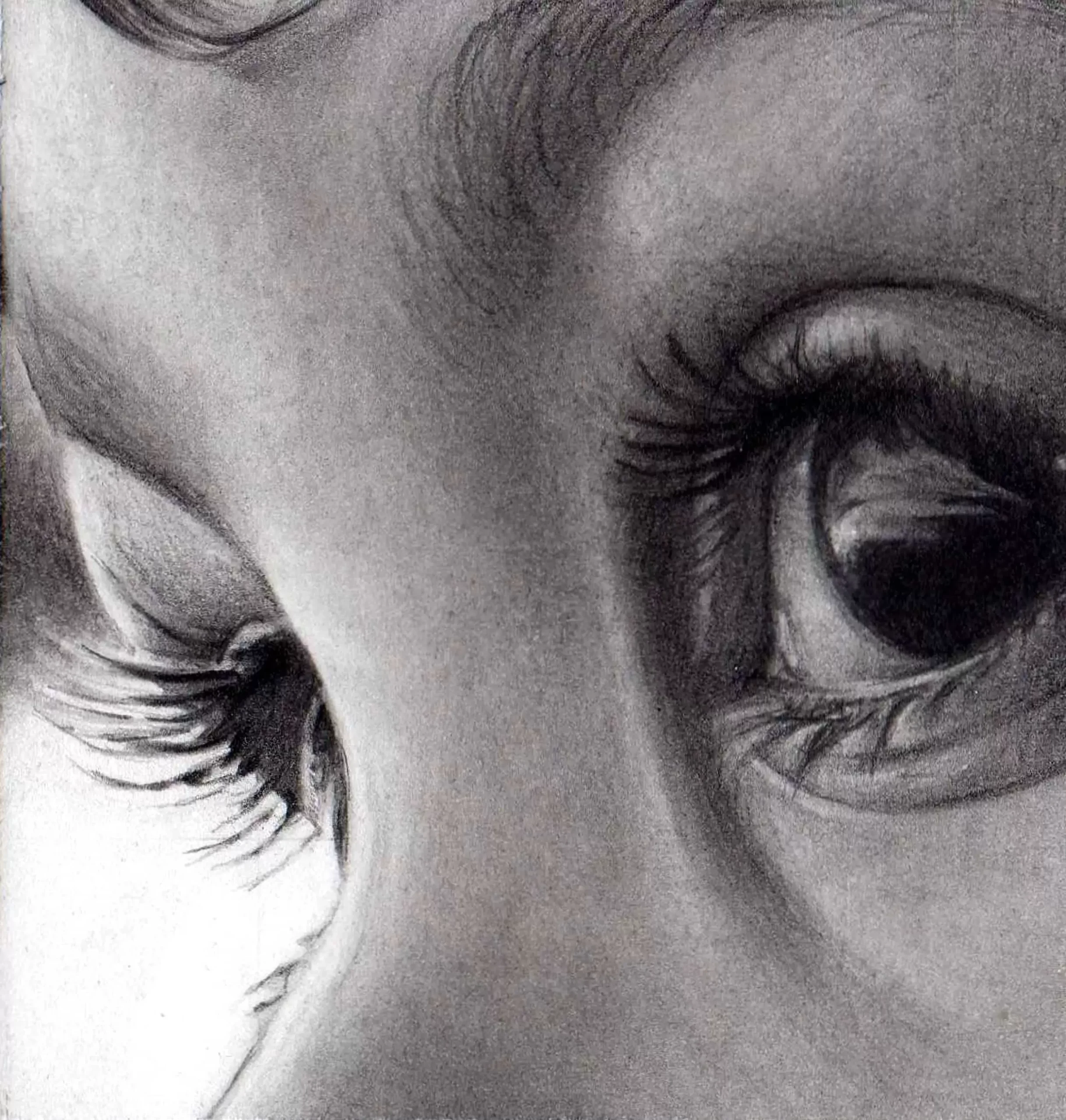 AGP Art Instructors Series: Anne Cavanagh
