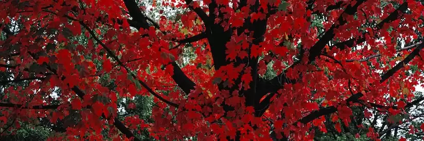 Dr. Roberta Bondar: Light in the Land ~ The Nature of Canada