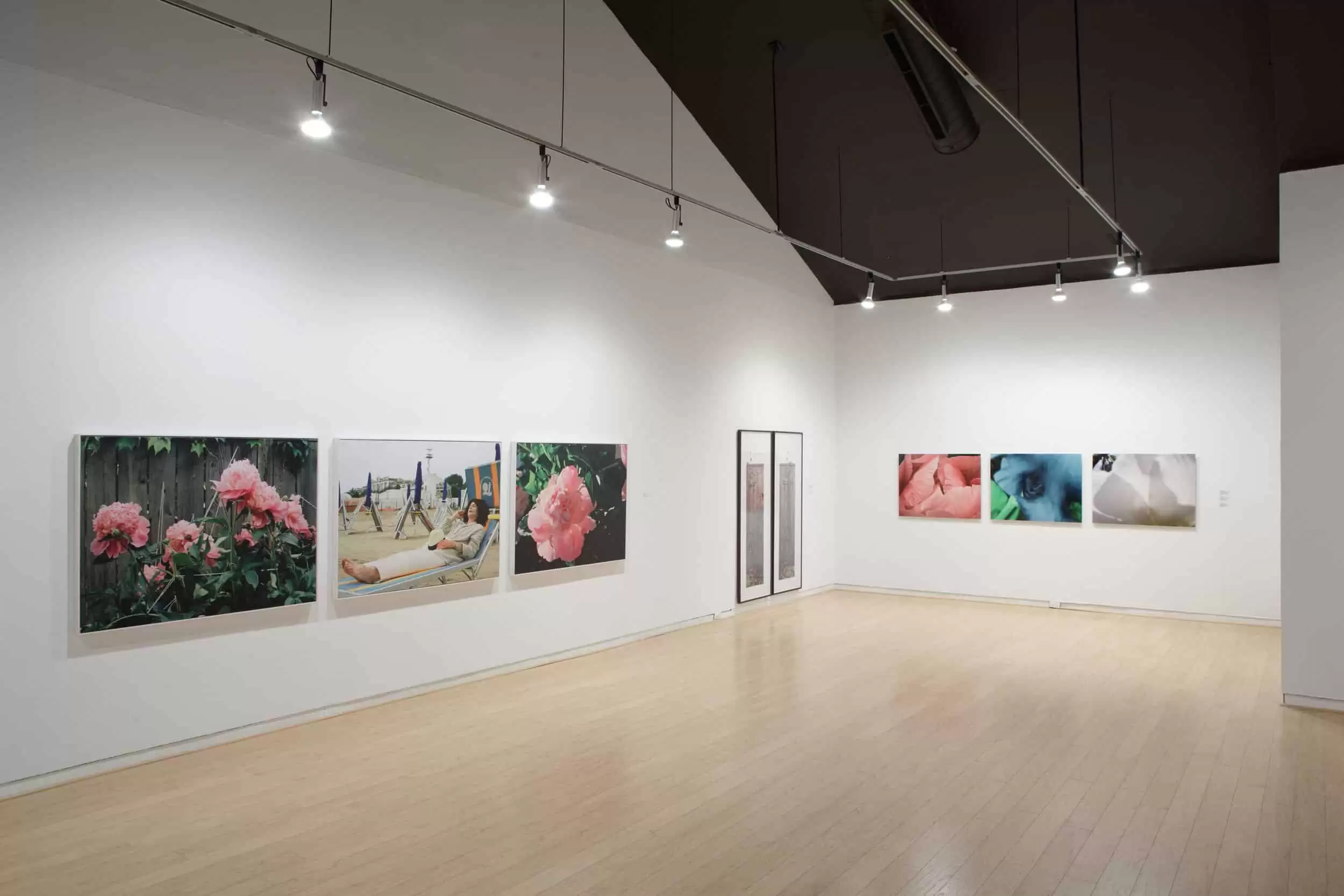 Flowers and Photography