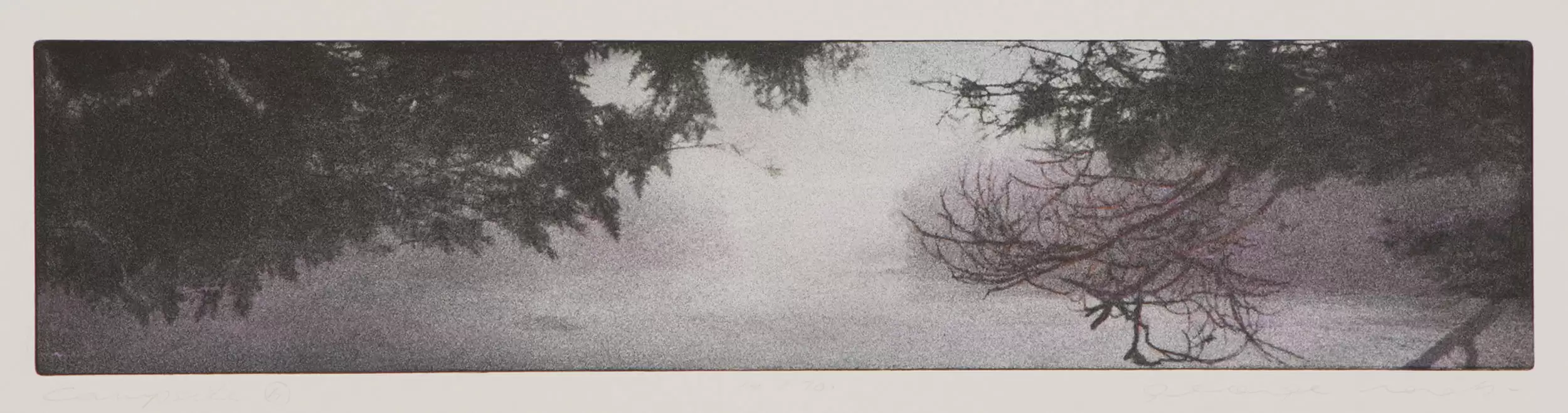 Etching by George Raab featuring barren hardwood and pine trees