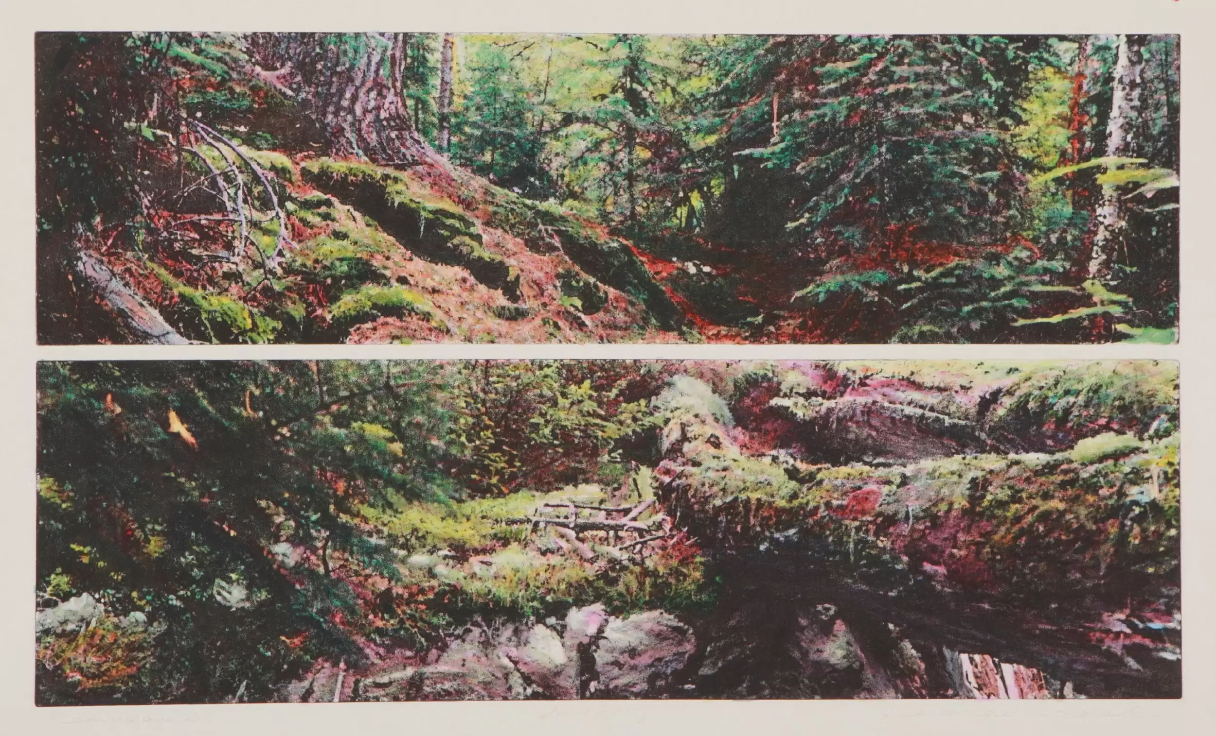 Diptych etching by George Raab featuring a mossy forrest floor