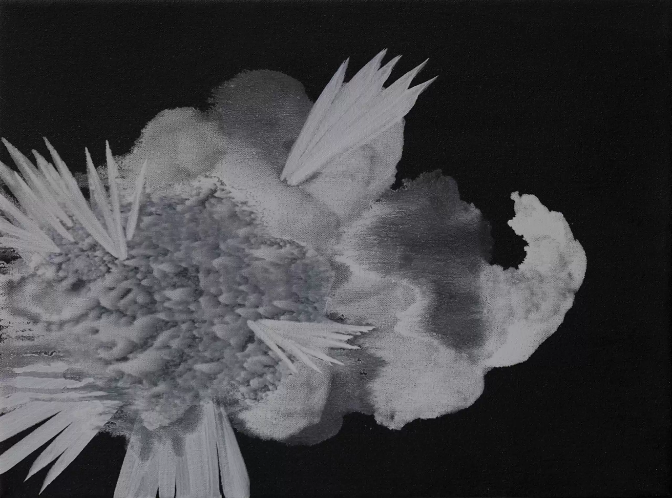Celia Neubauer: Affect of Gravity