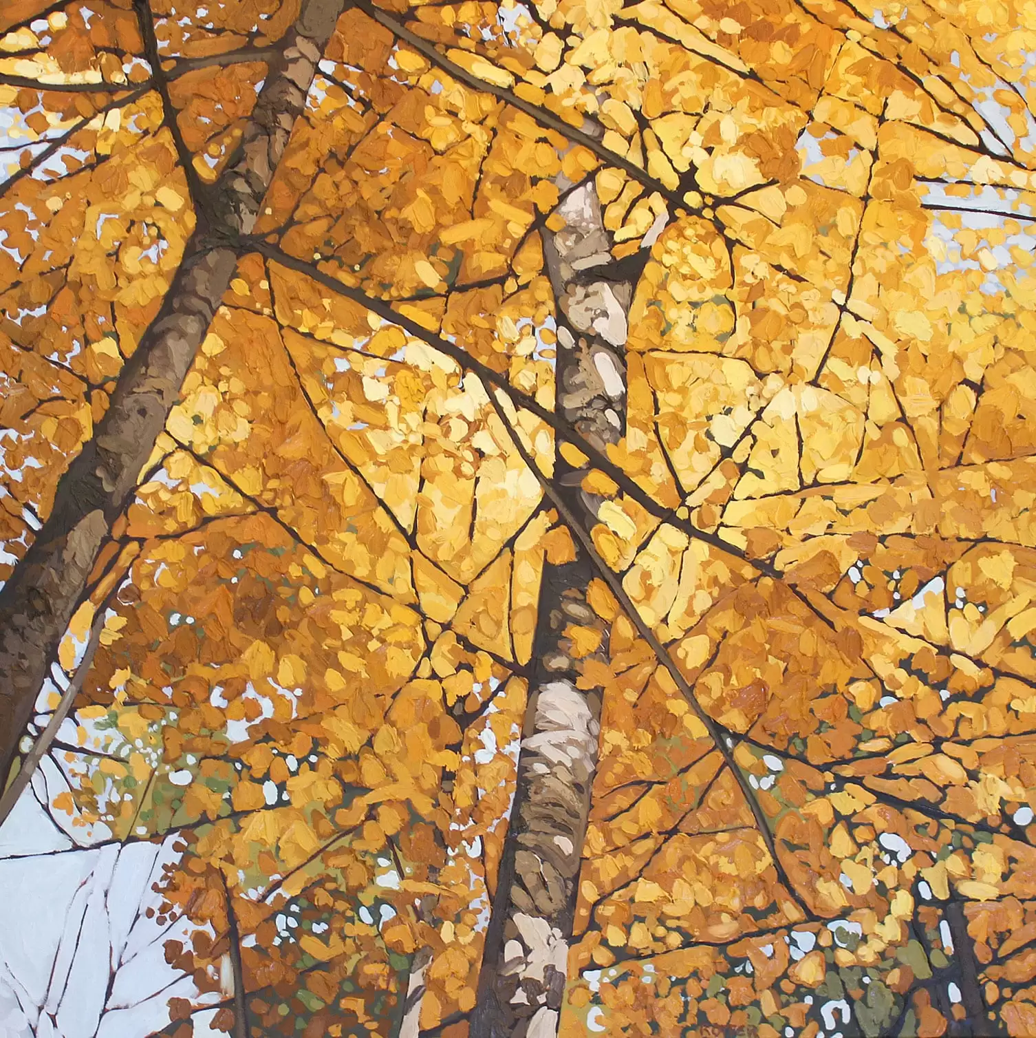 Selections: 34th Annual Kawartha Autumn Studio Tour