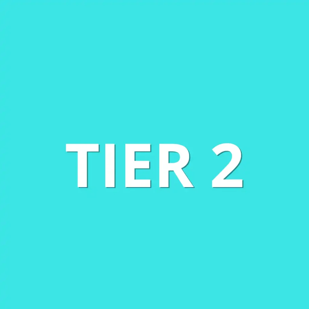 Cyan background with white text that says: Tier 2