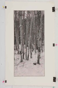 Etching by George Raab featuring aspen trees with snow on the ground