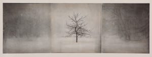 Triptych etching by George Raab featuring a barren tree in the centre panel