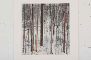 Etching by George Raab featuring a forrest in winter
