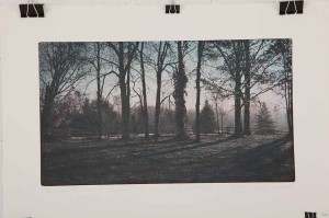 Etching by George Raab featuring a row of hardwood and pine trees along a wooden fence