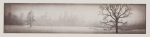 Etching by George Raab featuring two barren trees in a field and a series of pine trees in the background