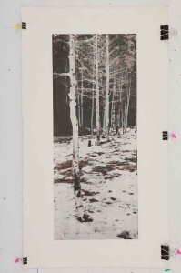 Etching by George Raab featuring birch trees with snow on the ground