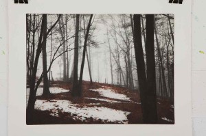 Etching George Raab featuring a hillside in a hardwood forrest. Brown-red leaves and melting snow on the ground and mist in the air.