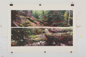 Diptych etching by George Raab featuring a mossy forrest floor