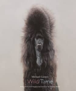 Michael Caines's exhibition publication. Text reads: "Michael Caines: Wild/Tame." Cover features a black fluffy poodle.
