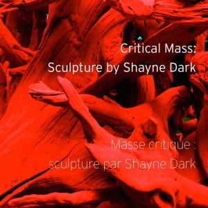 Shayne Dark's exhibition publication. Text reads: "Critical Mass: Sculpture by Shayne Dark." Cover features large red drift wood.