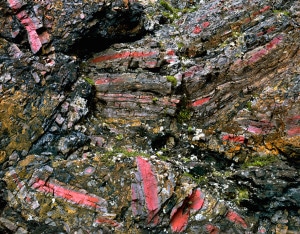 Photograph by Arnold Zageris featuring a brown, grey, and pink rock surface with green moss
