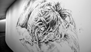 Charcoal drawing on a white wall by Esther Simmonds-McAdam featuring a horse's mane and a human's hand