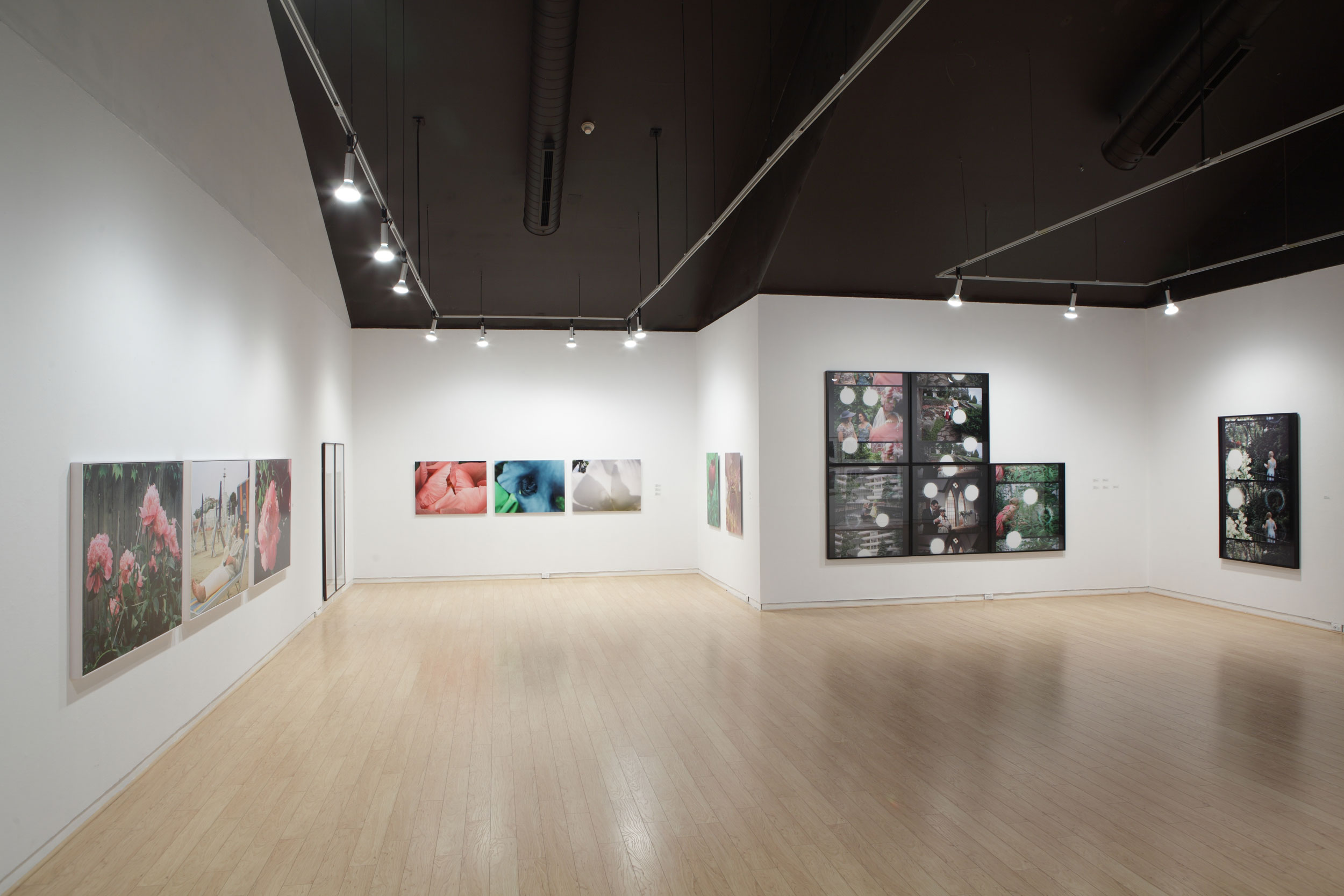 Gallery view of the exhibition Flowers and Photography. Multiple photographs installed in the AGP's main gallery.