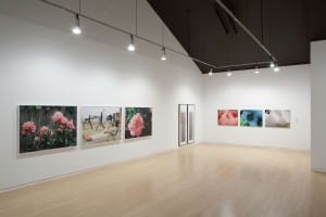 Gallery view of the exhibition Flowers and Photography. Multiple photographs installed in the AGP's main gallery.