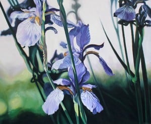 Painting by Mary McLouglin featuring a group of purple irises