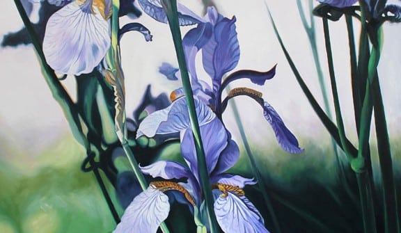Mary McLoughlin, Blue Siberian Irises