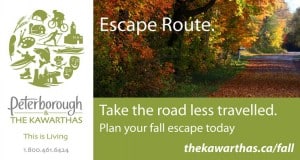 Peterborough and the Kawarthas Tourism information graphic. Image of a country road in autumn. Text reads: "Escape Route. Take the road less travelled. Plan your fall escape today."
