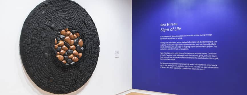 Installation view of Rod Mireau: Signs of Life. Photo by Priam Thomas.