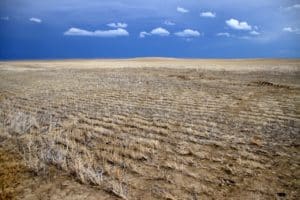 Photography of a dry farm field. Bright blue sky with white clouds.