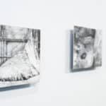 217 (Elephant's Foot) Series, 2015-2017, graphite on gessoed aluminum; installation view