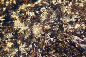 Photograph by Corin Ford Forrester of rippling water