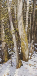 Oil painting by Peter Rotter. Cedar forest with snow on the ground.