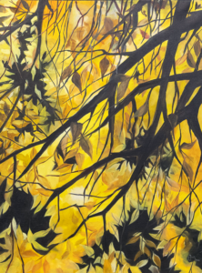 A close up of a network of branches and warm yellow leaves with dark colour fields throughout.