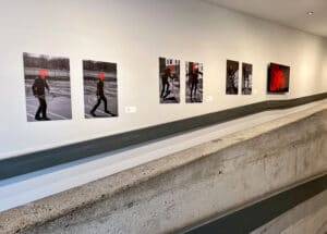 photography and video based artwork in an art gallery