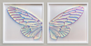 Mixed media diptych, one frame holds a crafted left butterfly wing, the other frame holds the right wing, displayed side by side, a complete butterfly is shown