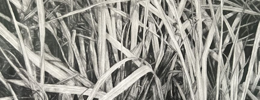 Light In The Tall Grass, 2020, graphite and watercolour on paper, 42