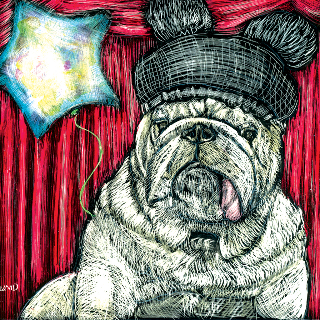 A large bulldog with its tongue out to one side sits in front of a red theater curtain. The dog is wearing a “Micky Mouse” hat. There is a blue-star shaped ballon beside the dog. The artist has used scratching to create realistic texture for dog fur and textiles within the piece.