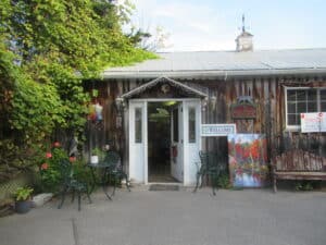 The exterior of the artist’s studio; wood plank building with an open white door, with a bench and three. A landscape painting is leaning against the building with a sign that says “welcome” hanging above it.