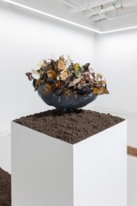 An assemblage of dried insects: beetles, moths, and dragonflies on a half circle. The work sits on a dirt covered plinth.